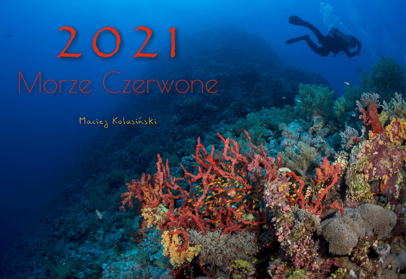 Kalendarz 2021 Morze Czerwone - Maciej Kolasiński - Galeria fotografii - Portfolio